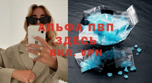 PSILOCYBIN Кукмор